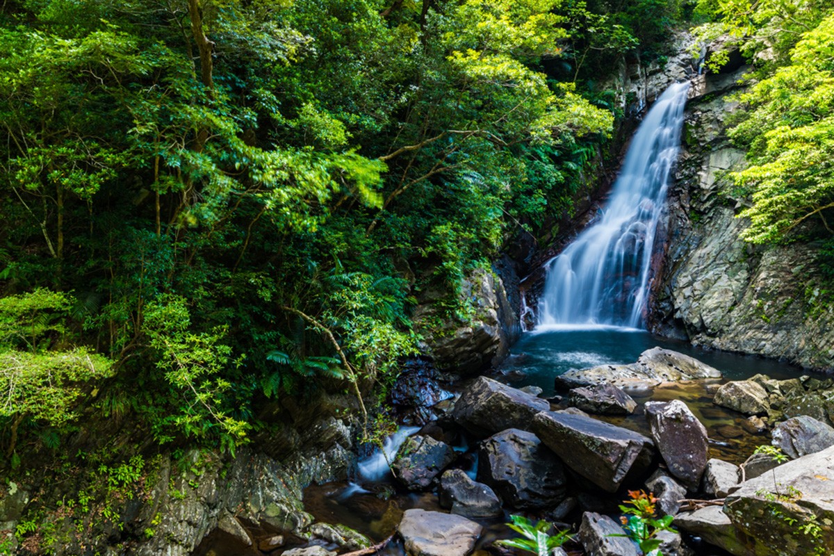 Hiji Otaki: The Largest Waterfall on the Main Island of Okinawa